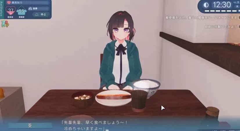 能干的后辈小葵酱 中文版全息投影